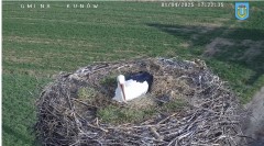 IMG_2209.jpeg