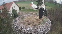IMG_2142.jpeg