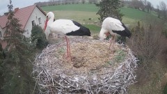IMG_2206.jpeg