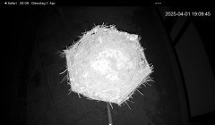 IMG_2239.jpeg