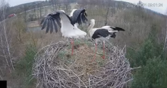 2025-04-01 20_20_50-Wodociągi Ostrołęka – transmisja na żywo - YouTube - Maxthon.png