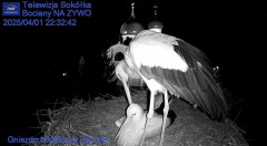 IMG_2298.jpeg