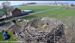 2025-04-02 10_57_41-Bocian Gierłachowo 2025 - YouTube - Maxthon.png