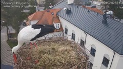 IMG_5259.jpeg