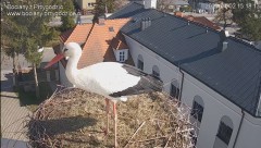 IMG_5305.jpeg