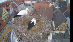 IMG_5303.jpeg