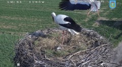 IMG_2573.jpeg