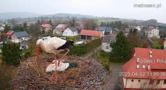 2025-04-02 17_44_29-Gniazdo bocianie _Kostek i Rika_ - Podkarpacie Kostarowce - YouTube – Brave.png