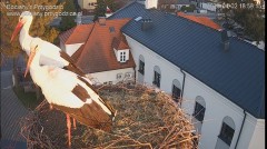 IMG_5316.jpeg