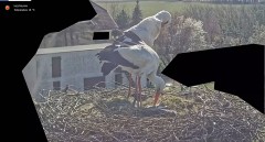 IMG_2529.jpeg
