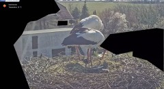 IMG_2532.jpeg