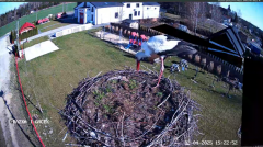 2025-04-02 23_39_07-GNIAZDO BOCIANIE PRZY OSP ŻELECHÓW - YouTube – Brave.png