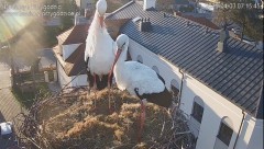 IMG_5327.jpeg