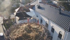 IMG_5330.jpeg