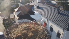 IMG_5331.jpeg