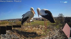 IMG_2683.jpeg