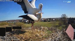 IMG_2689.jpeg