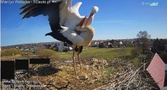 IMG_2690.jpeg