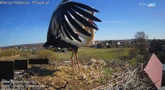 IMG_2692.jpeg
