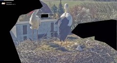 IMG_2708.jpeg