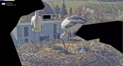 IMG_2712.jpeg
