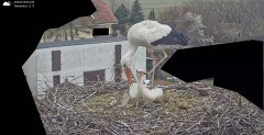 IMG_1807.jpeg