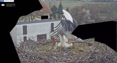 IMG_1812.jpeg
