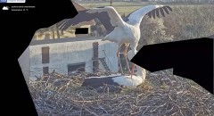 IMG_2228.jpeg
