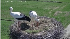 IMG_2766.jpeg