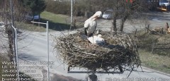 IMG_2676.jpeg