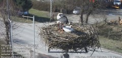 IMG_2678.jpeg