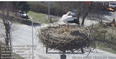 IMG_2774.jpeg