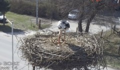 IMG_2776.jpeg