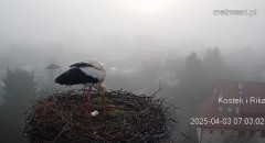 IMG_2699.jpeg