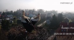 IMG_2698.jpeg