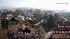 IMG_2702.jpeg