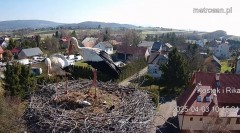 IMG_2703.jpeg