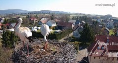 IMG_2704.jpeg