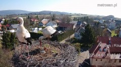 IMG_2706.jpeg