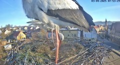 IMG_2789.jpeg