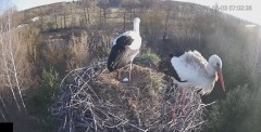 IMG_2793.jpeg