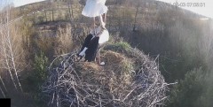 IMG_2795.jpeg