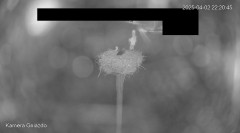 IMG_2811.jpeg