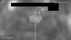 IMG_2812.jpeg
