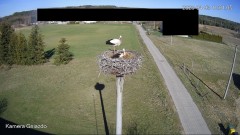 IMG_2814.jpeg