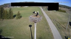 IMG_2815.jpeg