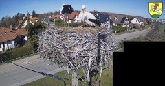 IMG_2805.jpeg