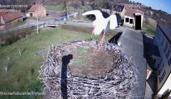 IMG_5336.jpeg