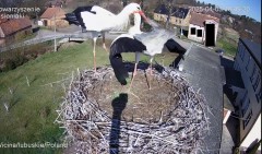 IMG_5339.jpeg