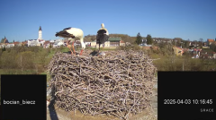 2025-04-03 20_57_18-(1) Bociany Biecz - YouTube - Maxthon.png